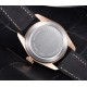 Parnis 41mm Coffee Dial Sapphire Crystal Miyota Automatic Men's Watch Luminous Marker 10 ATM Waterproof Rose Gold Case